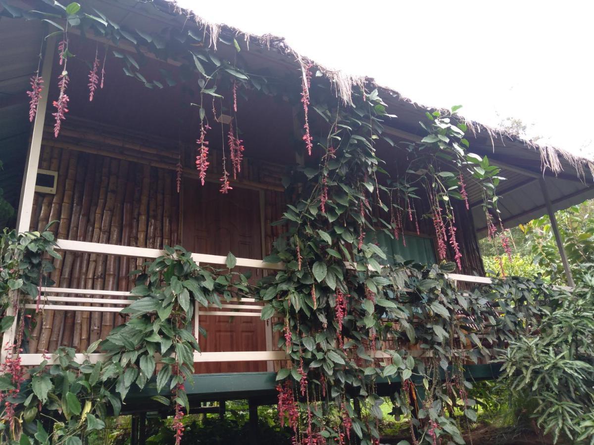 Koomankolly Resort Thirunelly Luaran gambar