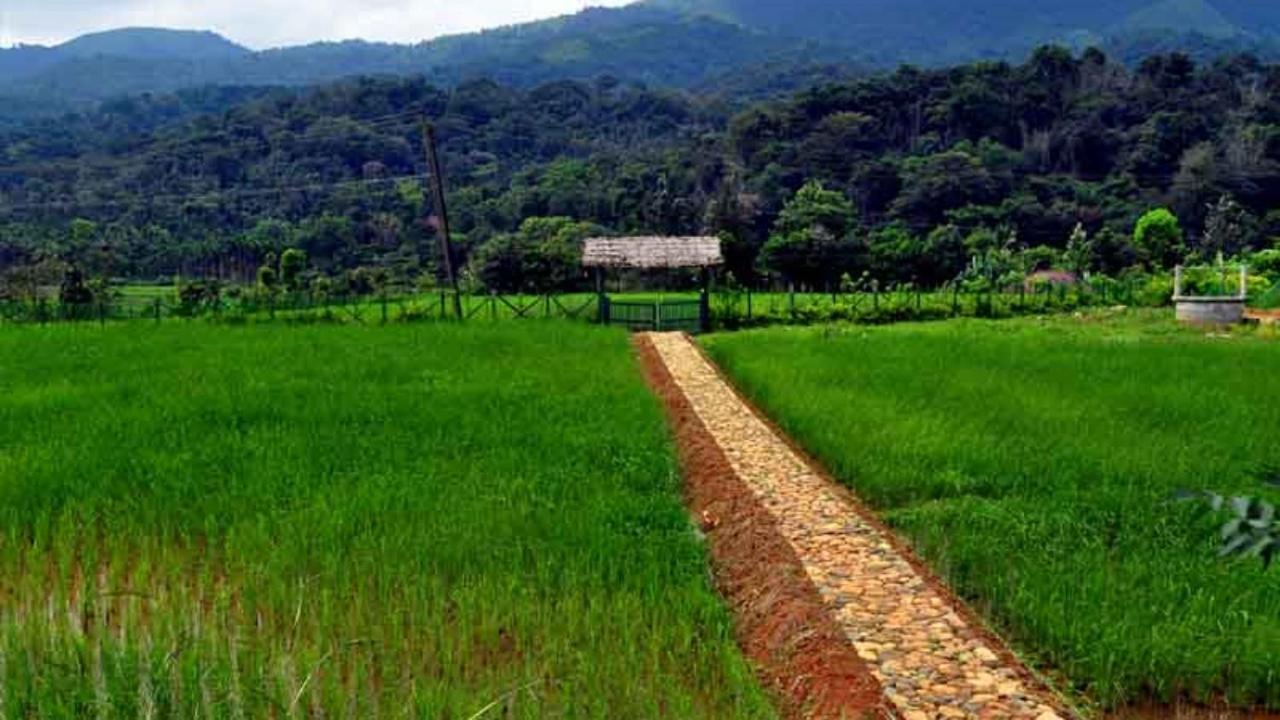 Koomankolly Resort Thirunelly Luaran gambar